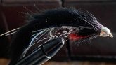 Fly_Fishing_Flies_and_Their_Uses
