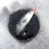 icefishing1